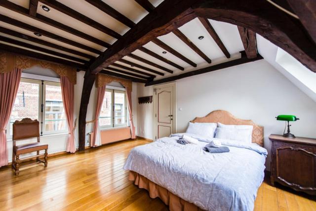 Hofmarkgraaf - Unique Apartment In Historic Antwerp Mansion Екстер'єр фото