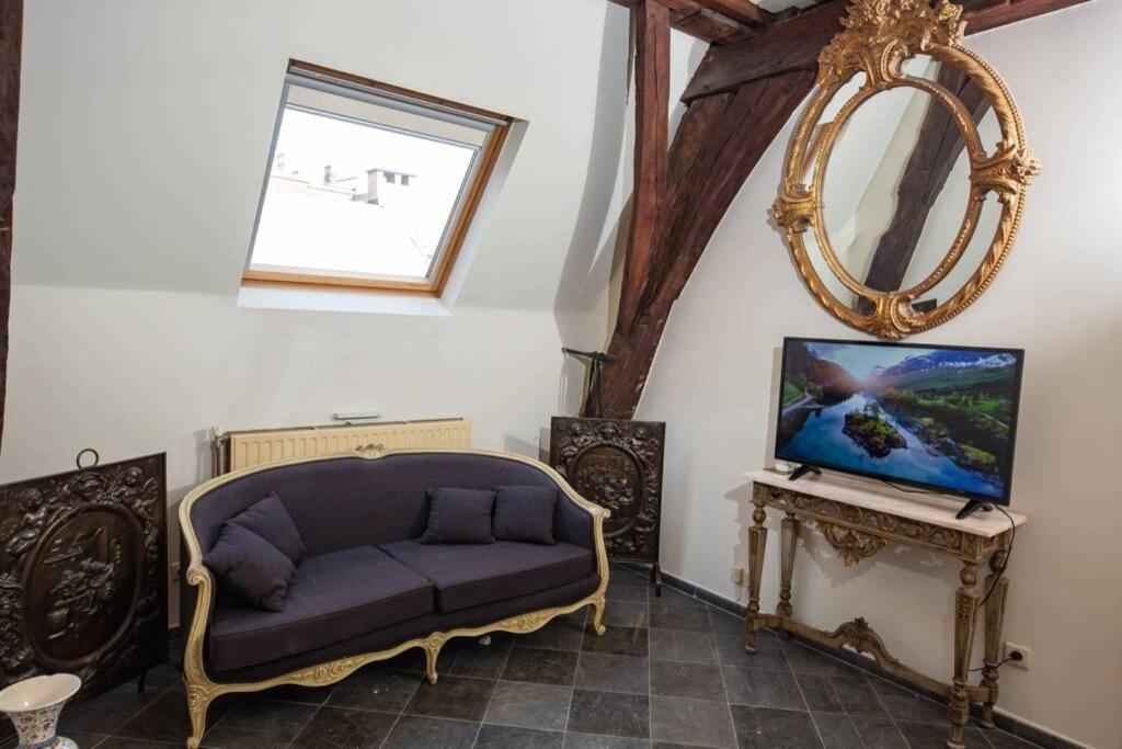 Hofmarkgraaf - Unique Apartment In Historic Antwerp Mansion Екстер'єр фото